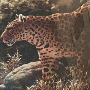 Meet your Posher, Maria